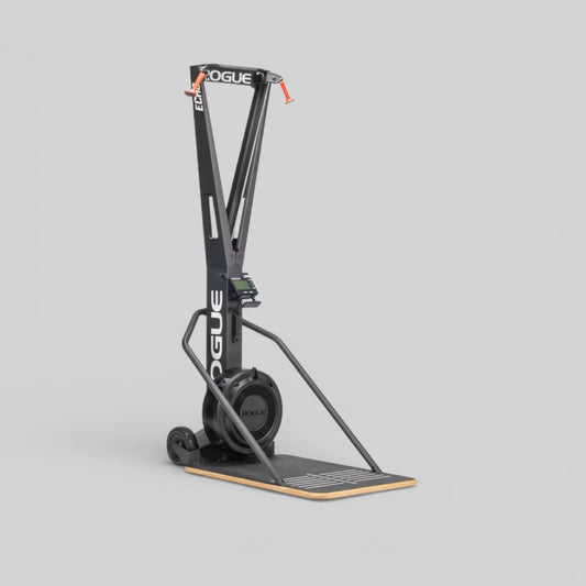 ROGUE ECHO SKI (Defect)