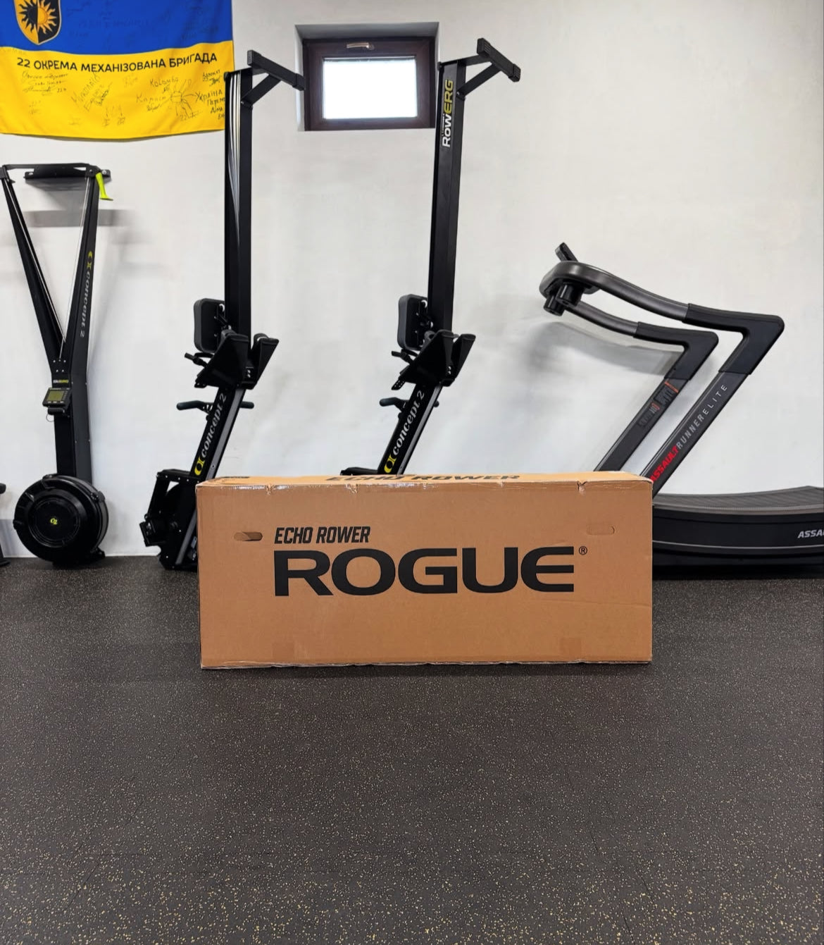 ROGUE ECHO ROWER (USED)
