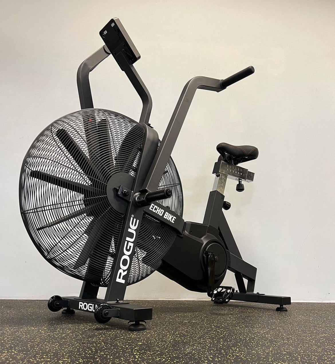 ROGUE ECHO BIKE V3.0 (USED)