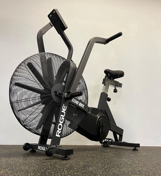ROGUE ECHO BIKE V3.0 (USED)