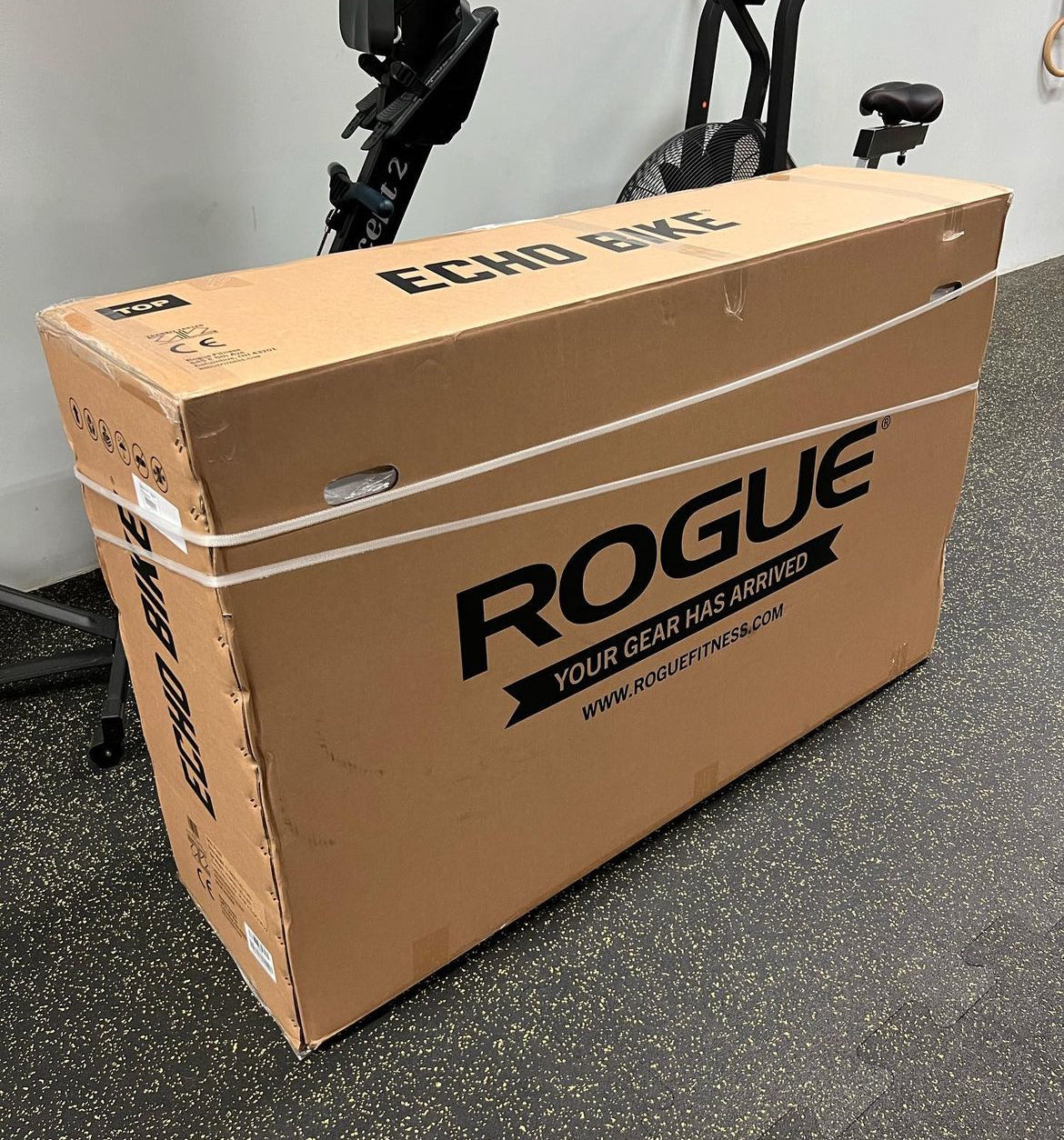 ROGUE ECHO BIKE V3.0 (USED)